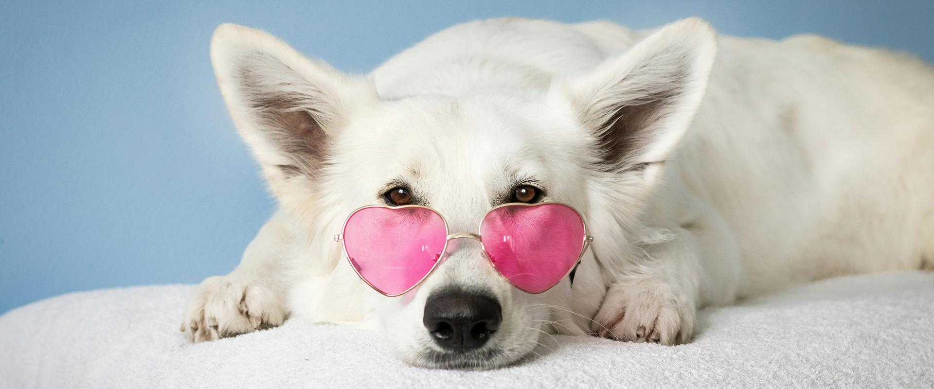 Art Hotel Commercianti Bolonia Art Hotel Commercianti Bolonia