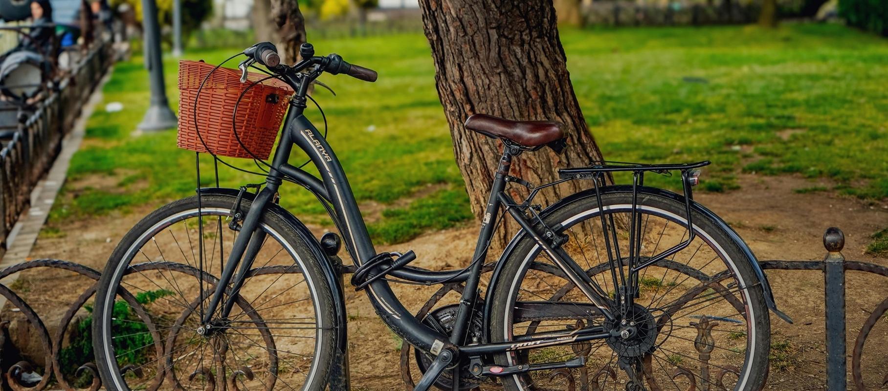 Art Hotel Commercianti Bolonia Art Hotel Commercianti Bolonia